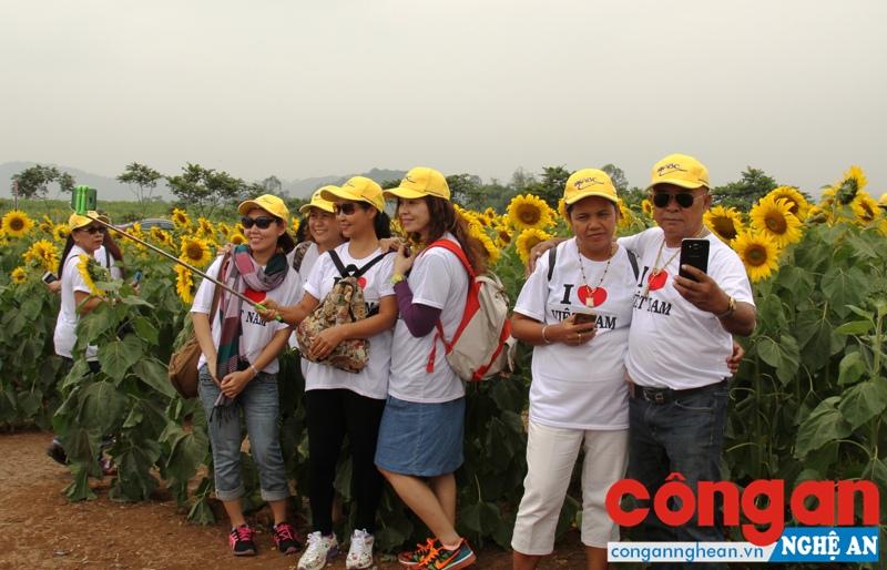 Việc chú trọng khai thác các điểm du lịch mới, độc đáo góp phần thúc đẩy ngành du lịch phát triển (Trong ảnh: Cánh đồng hoa hướng dương ở huyện Nghĩa Đàn “hút” khách du lịch)