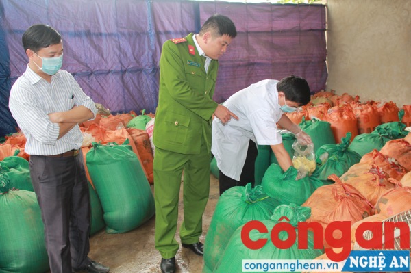 Lực lượng chức năng tiến hành kiểm tra và lấy mẫu giám định