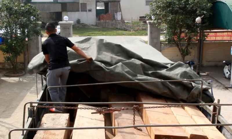 Xe rơ - móoc chở gỗ, pháo được giấu sau gỗ nên các cơ quan chức năng rất vất vả trong tìm tang vật