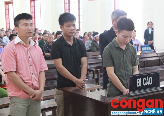 Các bị cáo tại phiên tòa