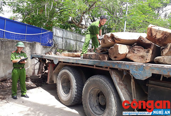 Công an huyện Thanh Chương kiểm tra số gỗ không rõ nguồn gốc