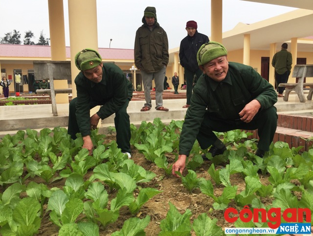 Khi tỉnh táo, những thương bệnh binh tại Trung tâm Điều dưỡng thương binh tâm thần kinh vẫn hăng say tăng gia, lao động, sản xuất