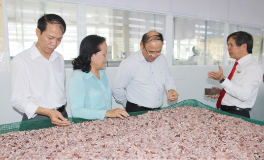 Đoàn ĐBQH và Tổng cục Giáo dục nghề nghiệp thăm xưởng sản xuất chocolate tại Trường CĐ Kỹ thuật Công nghệ BR-VT.