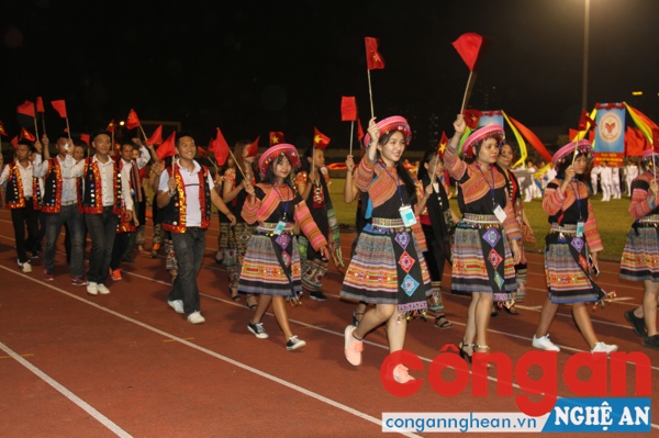 Phần diễu hành biểu dương lực lượng tham gia