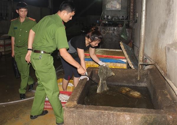 Cảnh sát môi trường kiểm tra cơ sở làm trắng nội tạng bò bằng hóa chất.