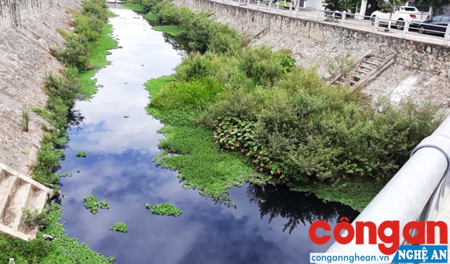 Lòng kênh Bắc luôn có một dòng nước đen ngòm, bốc mùi hôi thối