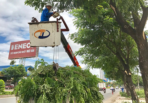 Công nhân Công ty Cây xanh (Thuộc Công ty CP dịch vụ môi trường đô thị Tân Thành) cắt tỉa cành nhánh, hạ độ cao cho dãy cây me tây trên QL51.