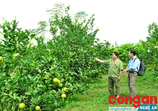 Mỗi người dân cần có ý thức tự bảo vệ quyền lợi thông qua việc tìm mua giống, vật tư nông nghiệp có nguồn gốc rõ ràng tại các cơ sở kinh doanh uy tín