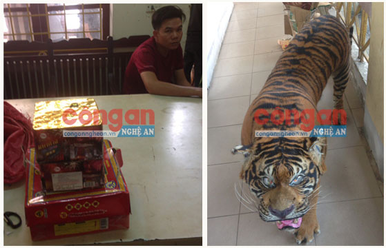 Đối tượng Trần Ngọc Hoàng cùng tang vật