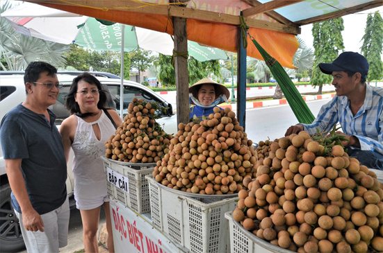 Khách mua nhãn của vợ chồng anh Nguyễn Thành Minh trên đường 3-2 (phường 12, TP.Vũng Tàu).