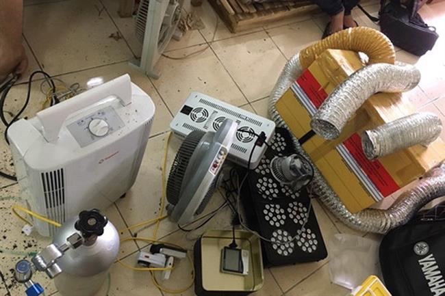 Hệ thống máy móc để sản xuất, trồng sấy cần sa