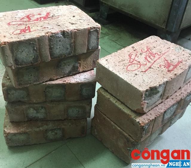Mẫu gạch thí nghiệm  (Ảnh do anh Trần Xuân Lĩnh cung cấp) 