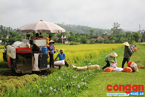 Yêu cầu ứng dụng khoa học - công nghệ vào sản xuất là đòi hòi bức thiết để nâng cao năng suất lao động