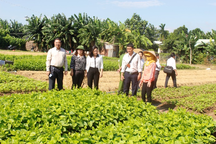 Đoàn giám sát của UBMTTQVN tỉnh giám sát tại cơ sở trồng rau của bà Phạm Thị Nguyệt (tổ 1, khu phố 4, phường Phước Hưng, TP.Bà Rịa).