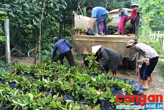 Việc thu hồi đất của các công ty nông lâm nghiệp bàn giao cho nhân dân tạo điều kiện thuận lợi cho nhân dân có đất sản xuất, ổn định cuộc sống