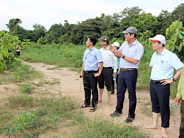 Đoàn khảo sát của HĐND tỉnh khảo sát tình hình trồng rừng tại khu bảo tồn thiên nhiên Bình Châu - Phước Bửu.