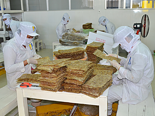 Sản xuất cá chai tẩm gia vị tại xưởng chế biến hải sản của Công ty CP Sản xuất - Dịch vụ và Thương mại Thuận Huệ (ấp An Hải, xã Lộc An, huyện Đất Đỏ). Ảnh: VÂN ANH