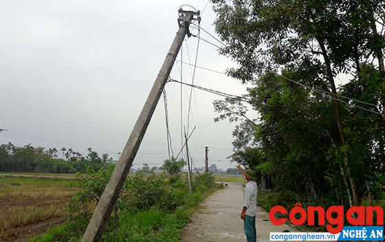 Cột điện bị nghiêng có thể đổ xuống bất cứ lúc nào