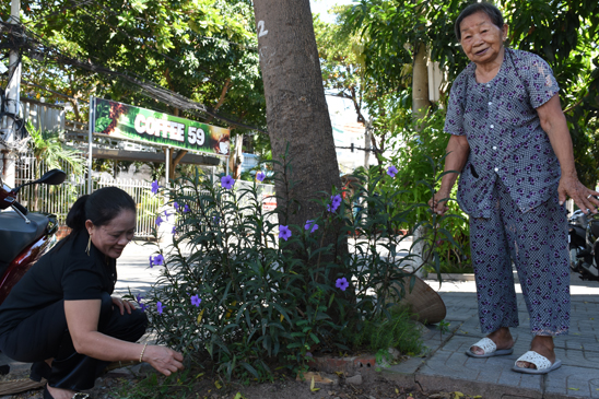 Bà Nguyễn Thị Khuyến (85 tuổi) và bà Nguyễn Thị Loan (53 tuổi), KP4, phường 7 nhổ cỏ, chăm sóc bồn hoa trên đường Ngô Đức Kế.