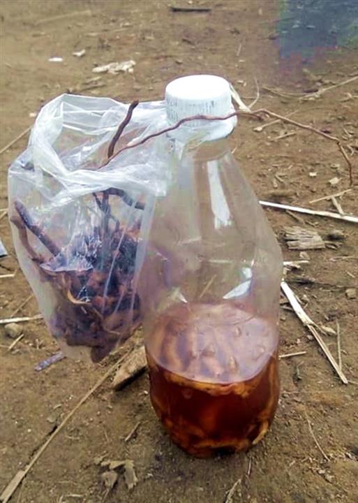 Chai rượu ngâm rễ cây khiến 2 cậu cháu Nguyễn Văn Mêng và Vũ Quang Vinh tử vong.