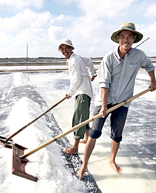 Với nguồn vốn vay tăng, diêm dân xã An Ngãi, huyện Long Điền có cơ hội mở rộng diện tích làm muối sạch. Trong ảnh: Thu hoạch muối tại xã An Ngãi.