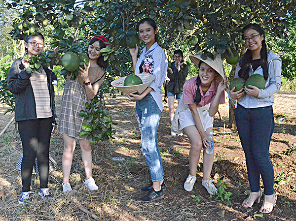 Nhóm SV Trường ĐH Quốc tế Hồng Bàng (TP.Hồ Chí Minh) tham quan vườn trái cây Green Farm. 