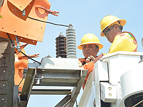 Các thợ điện Đội sửa chữa điện hotline sửa chữa đường dây điện 22kV tại ấp 1, xã Bưng Riềng, huyện Xuyên Mộc.