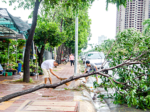 Nhân dân phường 7 (TP. Vũng Tàu) dọn dẹp đường phố sau cơn bão số 9. Ảnh: MẠNH THẮNG