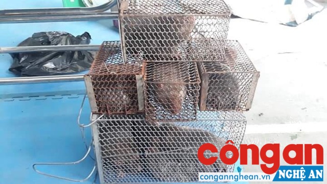 Tang vật vụ án