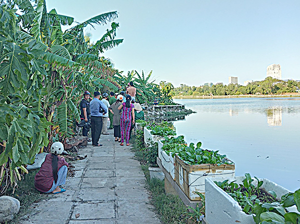 Hồ Bàu Sen, nơi xảy ra vụ việc.