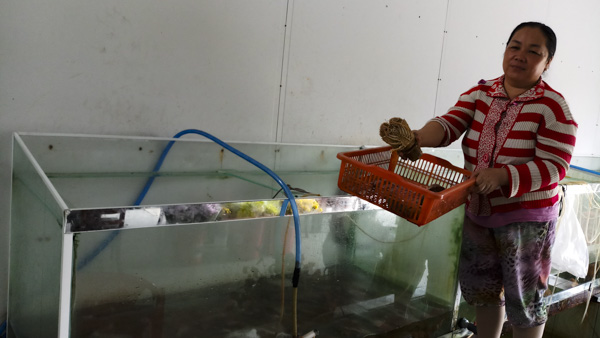 Bà Tô Thị Thanh Phương - khách hàng vay vốn của NHCSXH sử dụng vào việc buôn bán hải sản tươi sống tại khu dân cư số 5, huyện Côn Đảo.