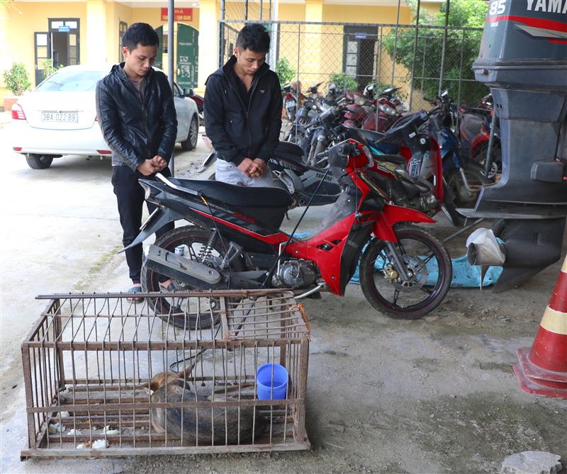 Các đối tượng và tang vật