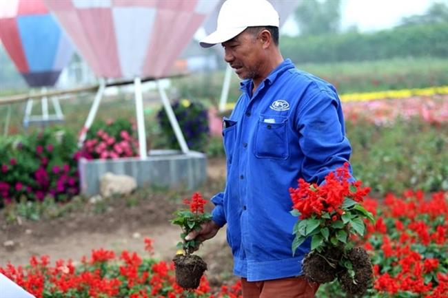 Dù công trình này đã hoàn thành nhưng hàng ngày vẫn phải có người chăm sóc....