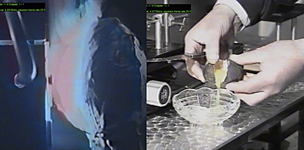 Thử nghiệm của NATO với vật liệu Starlite trên trứng, sử dụng các xung hạt nhân (ảnh trái). Trứng vẫn còn sống sau khi thử nghiệm (ảnh phải).