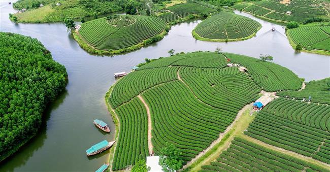 Nhiều tiềm năng du lịch Nghệ An được khai thác đã góp phần tạo dựng chỗ đứng                            cho ngành du lịch tỉnh nhà - Ảnh: Internet