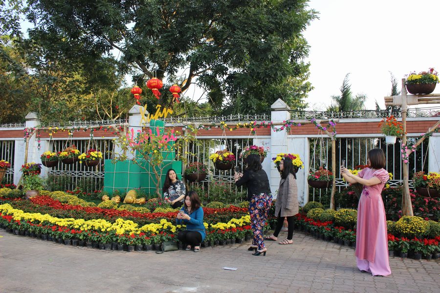 Không khí xuân ngập tràn