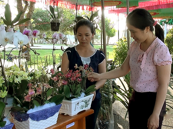 Người dân xã Xuân Sơn thích thú khi chiêm ngưỡng các chậu hoa lan.