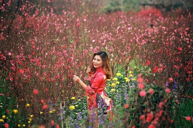 Năm mới Kỷ Hợi 2019 với sức xuân ngập tràn mọi miền Tổ quốc thân yêu. (Ảnh: Viết Thành)