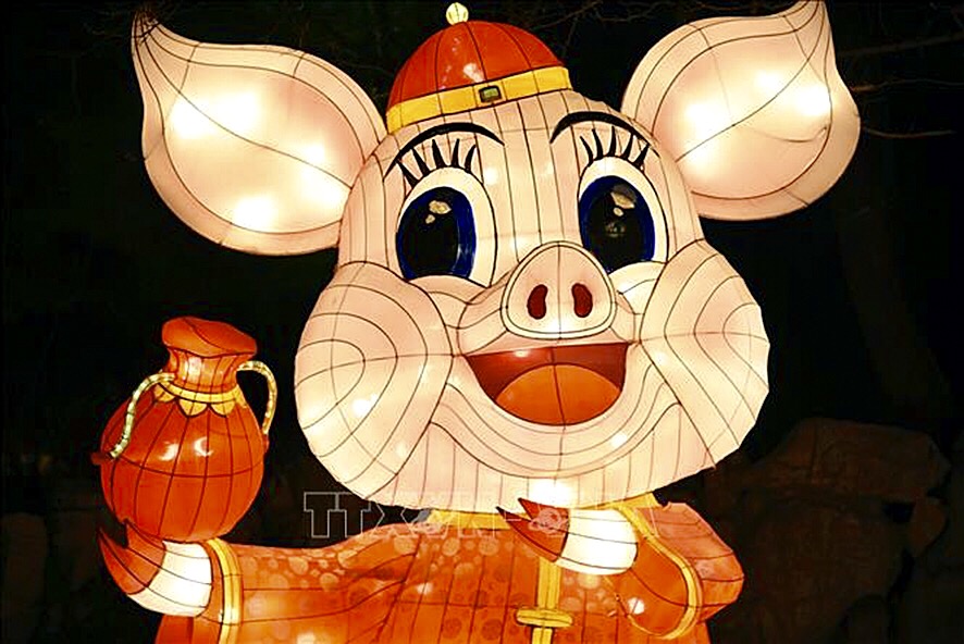 Đèn lồng hình chú lợn chào đón Tết Kỷ Hợi trưng bày tại tỉnh Sơn Đông, Trung Quốc.