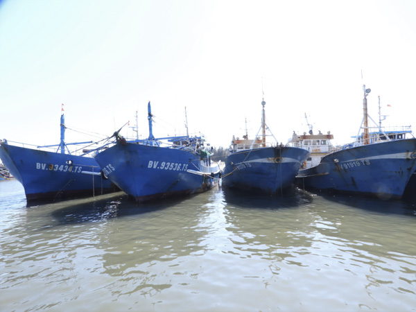 Tàu vỏ thép của ngư dân Bình Châu đang chuẩn bị vươn khơi đánh bắt hải sản trên các ngư trường Hoàng Sa – Trường Sa.