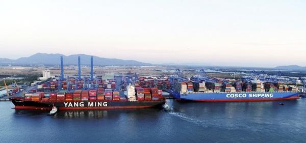 2 tàu tải trọng trên 150 ngàn tấn của 2 hãng COSCO và Yang Ming cùng cập cảng TCIT làm hàng.