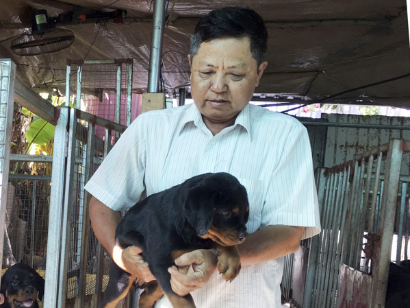 Ông Trần Văn Vinh (khu phố Kim Hải, phường Kim Dinh) chăm sóc  đàn chó của gia đình.