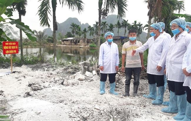 Bộ trưởng kiểm tra nơi tiêu hủy lợn dịch. - Ảnh: Báo Nông nghiệp