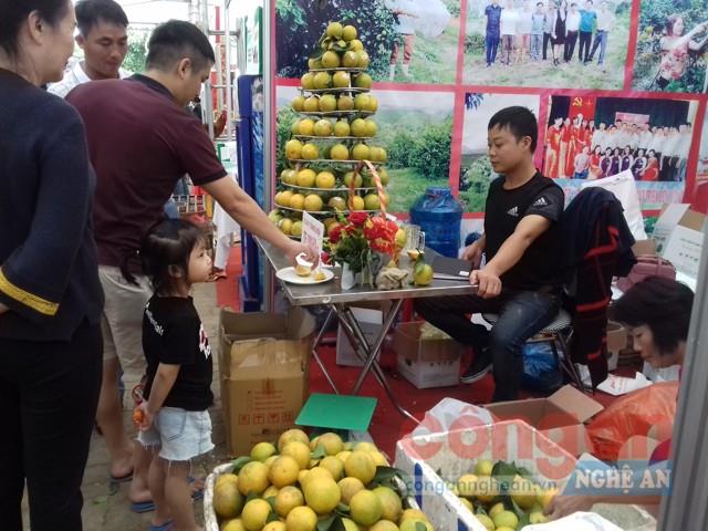 Xây dựng hàng hóa, sản phẩm du lịch lưu niệm đặc thù góp phần nâng cao giá trị thương hiệu du lịch Nghệ An
