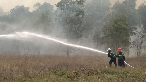 Lực lượng Cảnh sát PCCC – Công an tỉnh chữa cháy rừng tràm  gần Ban điều hành KCN Phú Mỹ 2, TX. Phú Mỹ vào ngày 18-3.