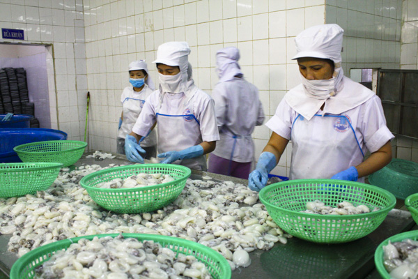 Năm 2018, tỉnh đã có nhiều nỗ lực trong việc tháo gỡ khó khăn cho DN sản xuất kinh doanh. Trong ảnh: Công nhân Công ty TNHH Ngọc Tùng chế biến bạch tuộc xuất khẩu.