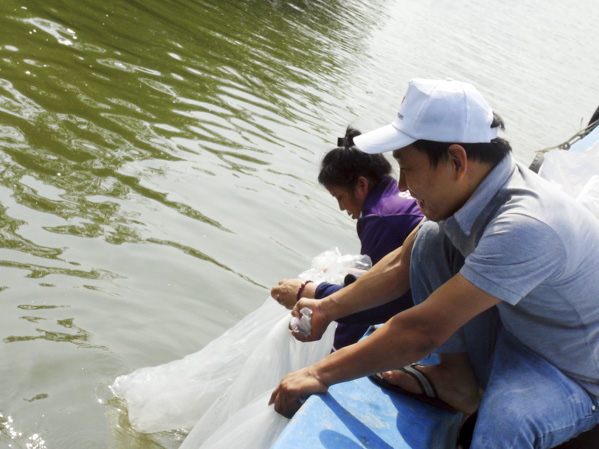 Ngư dân và cơ quan chức năng thả giống thủy sản tại chân cầu Cỏ May, phường 12, TP. Vũng Tàu.