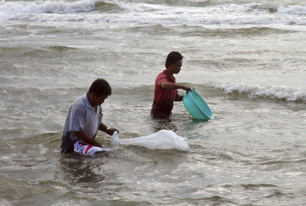 Ngư dân thả giống thủy sản ra tự nhiên tại bãi biển Phước Hải, huyện Đất Đỏ.