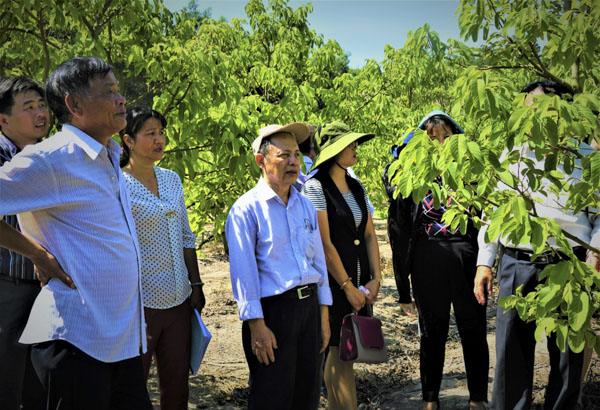 Ông Thức (bìa trái) dẫn đoàn cán bộ Sở KHCN thăm vườn cây mãng cầu Thái Lan của gia đình.