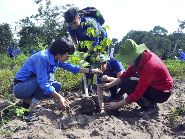 Đoàn viên thanh niên tham gia trồng rừng tại Khu bảo tồn thiên nhiên Bình Châu, Phước Bửu.